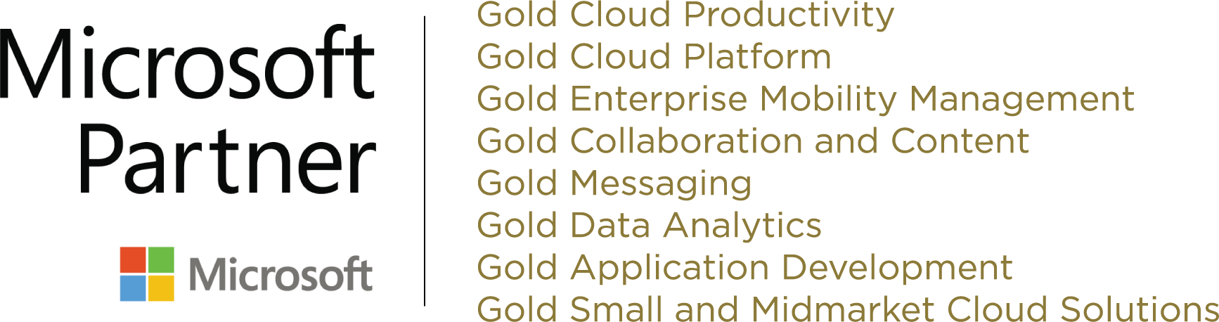 Microsoft Gold Competencies copy
